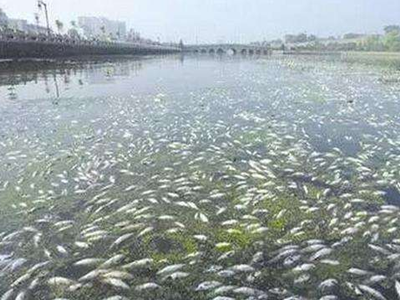 深圳水質(zhì)檢測(cè)