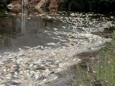 深圳水質(zhì)檢測(cè)