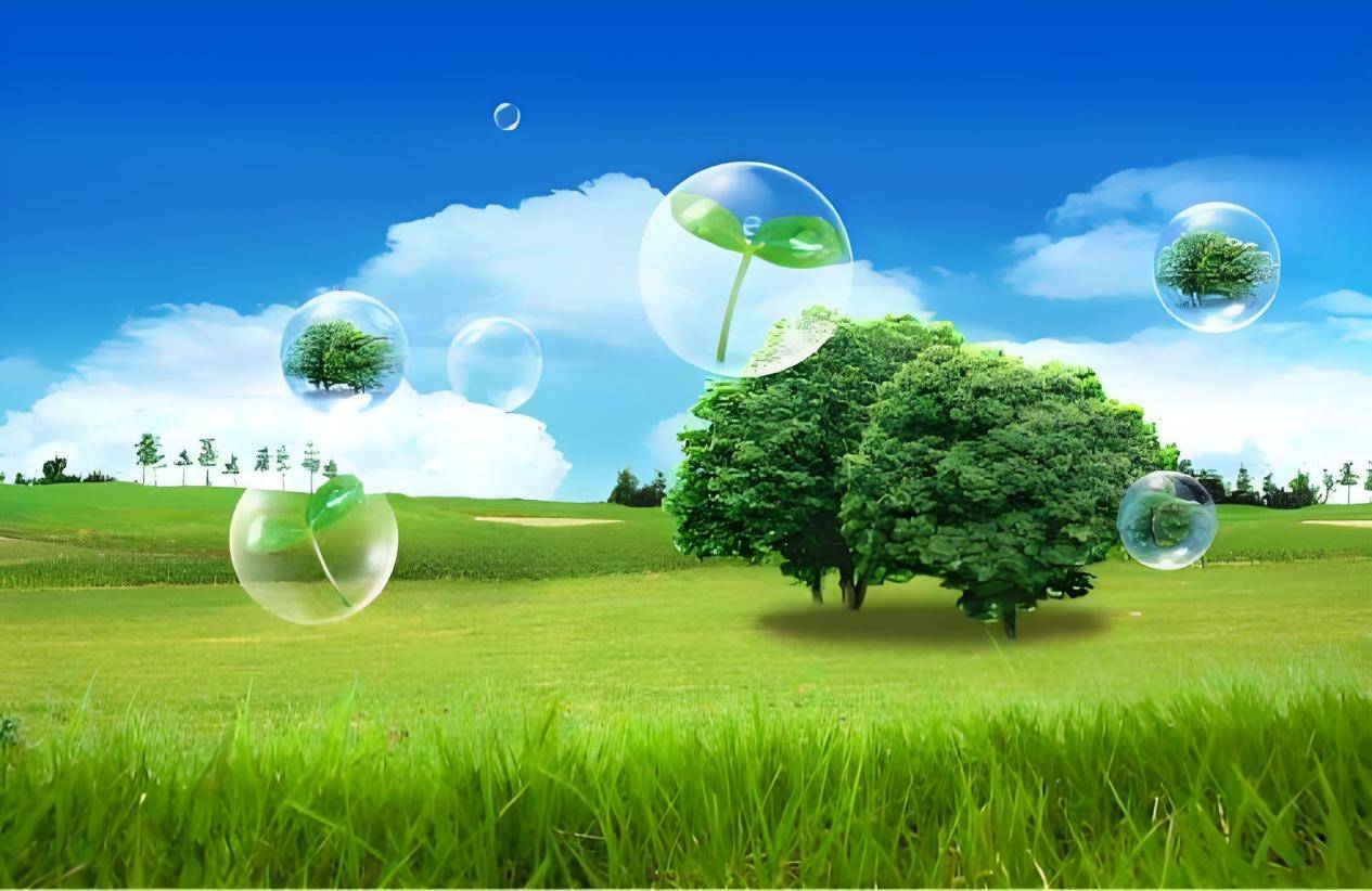 深圳環(huán)評報(bào)告